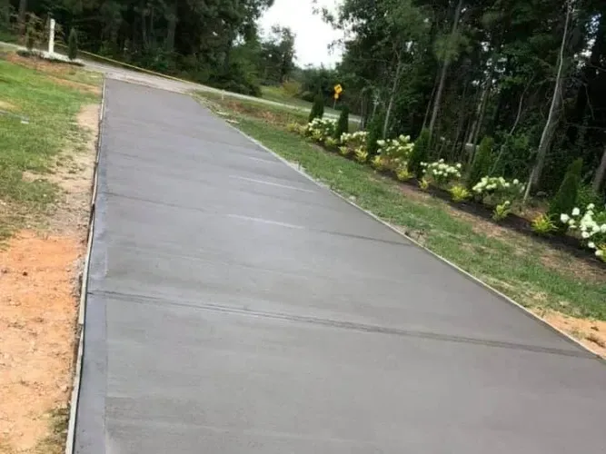 A concrete driveway going through a grassy area next to trees.
