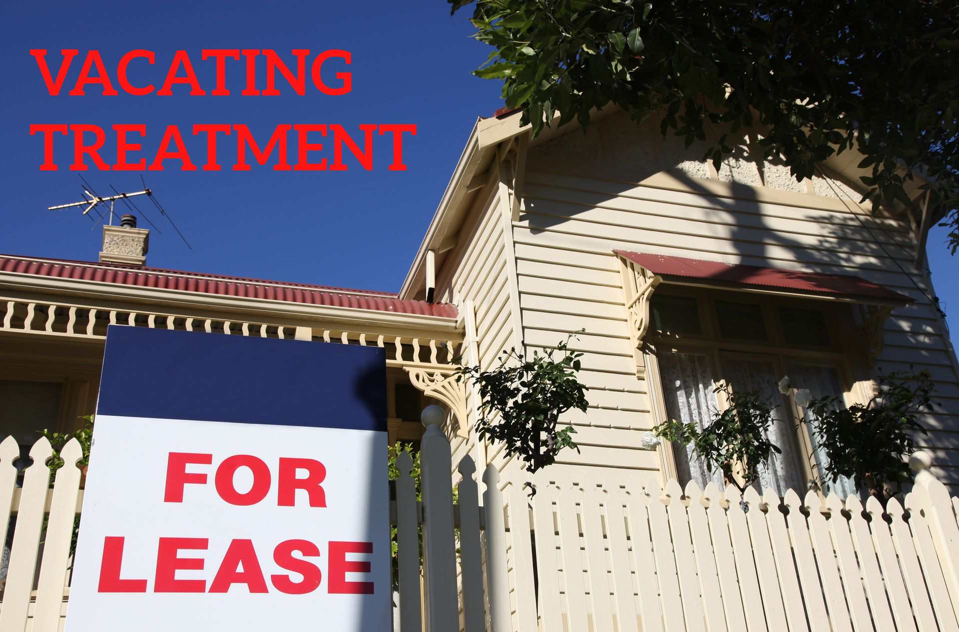 Flea and tick spray end of lease spray