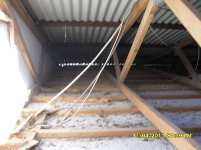 termitesroof damage