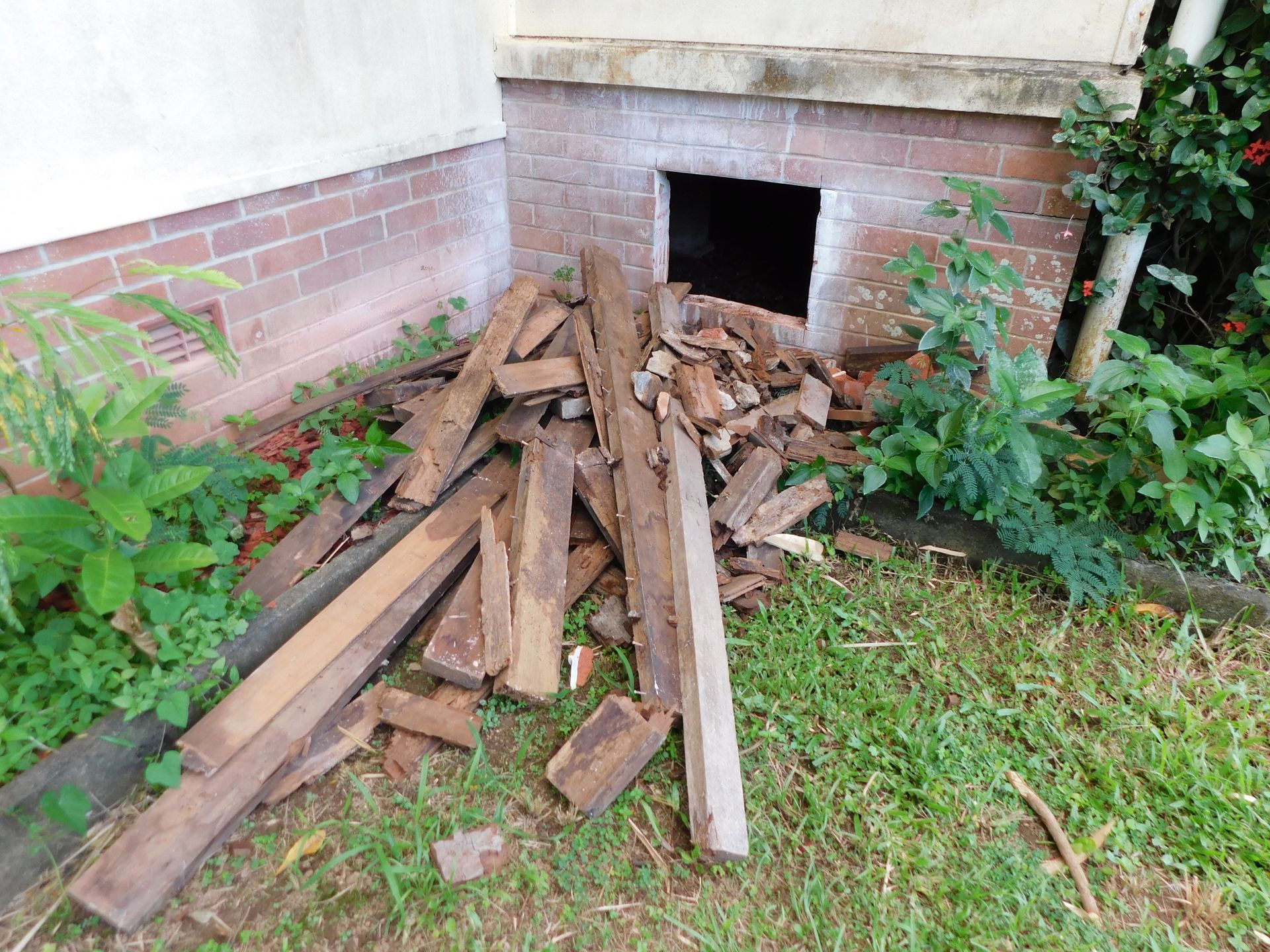 Termite damage timber