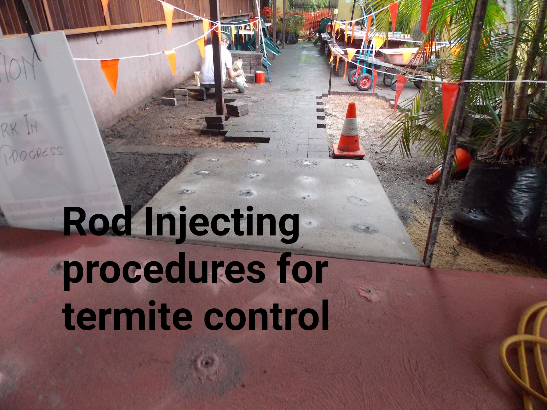 Click image to take you to our receptionist Discover termites