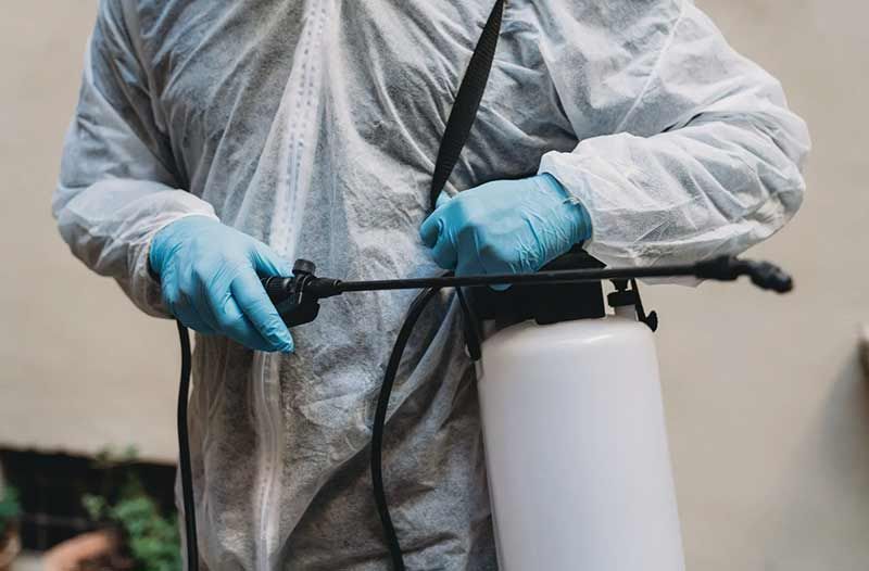 Spray canister containing quality products