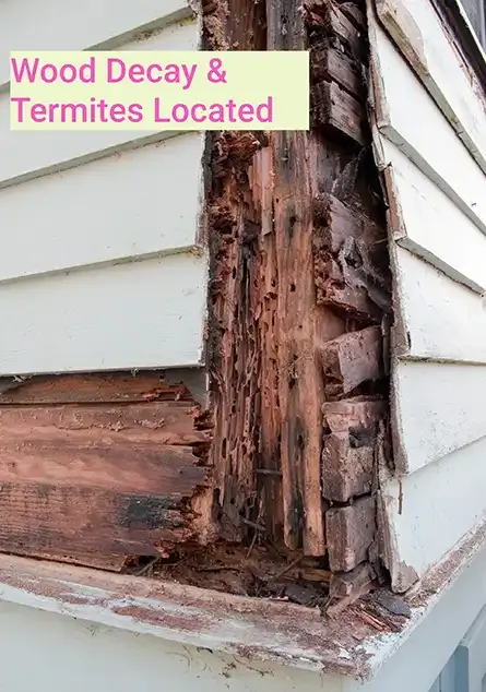 Wood decay found in most older timber homes