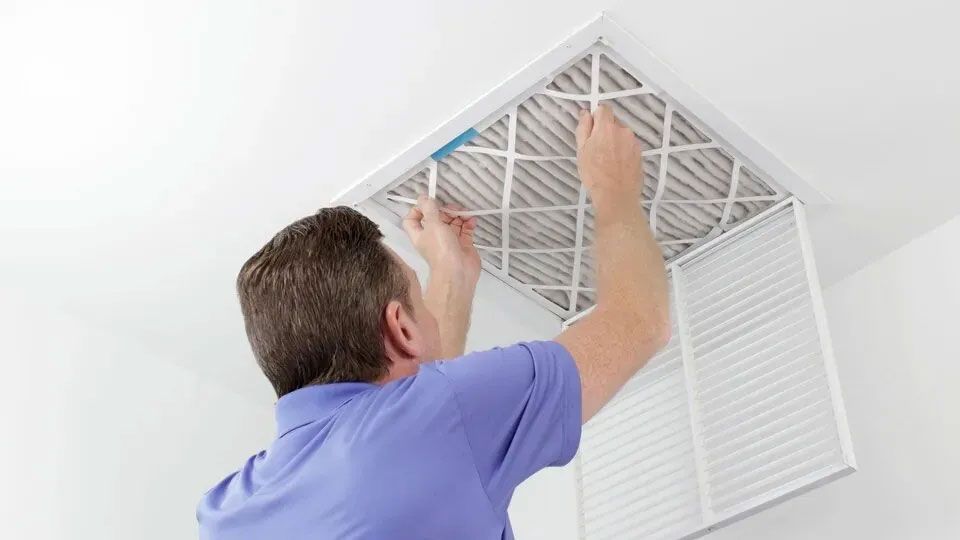 Steps to Take If Rodents Are in Your Air Ducts
