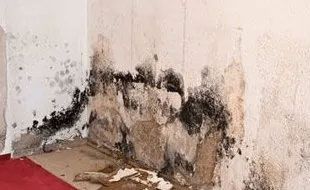 Carolina Ductmasters & Chimney Sweeps 7