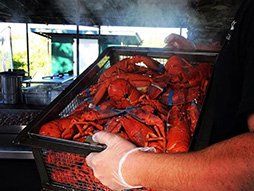 Small Cakes - in Middletown, Rhode Island