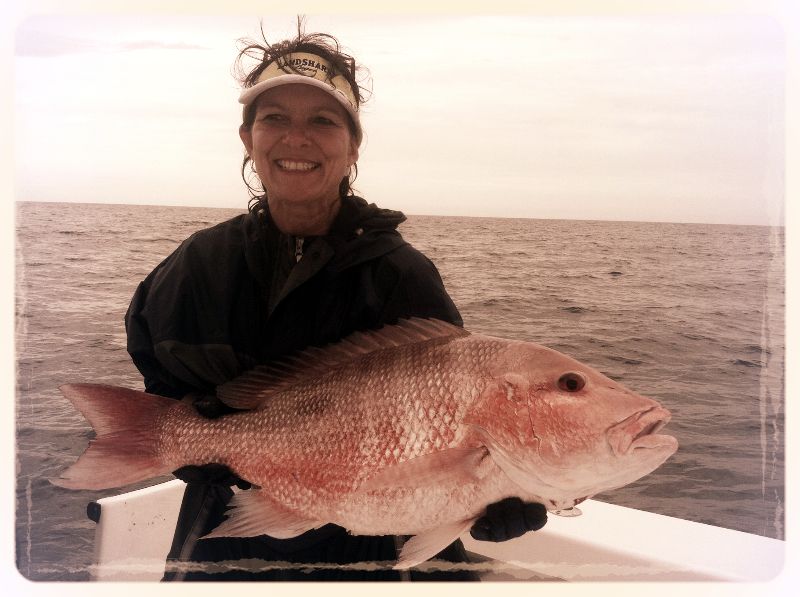 red snapper