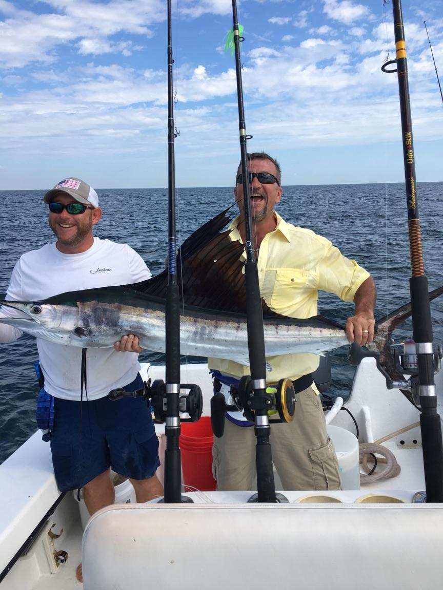 sailfish