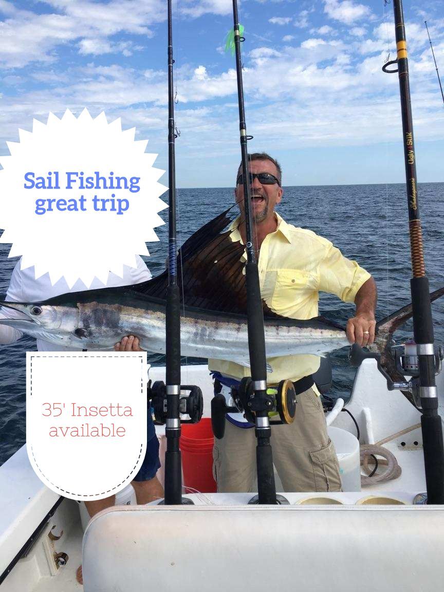 sailfish, ga sailfish, fishing for sailfish in ga