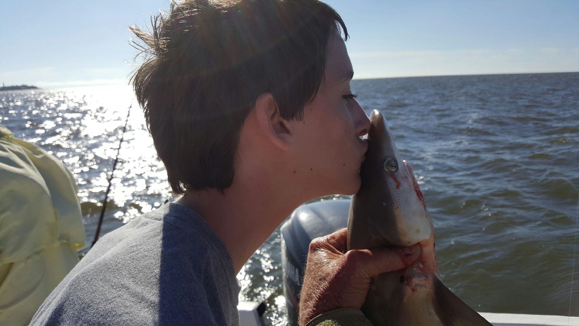 shark fishing trips