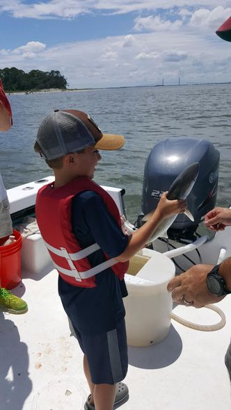 kids shark fishing trips