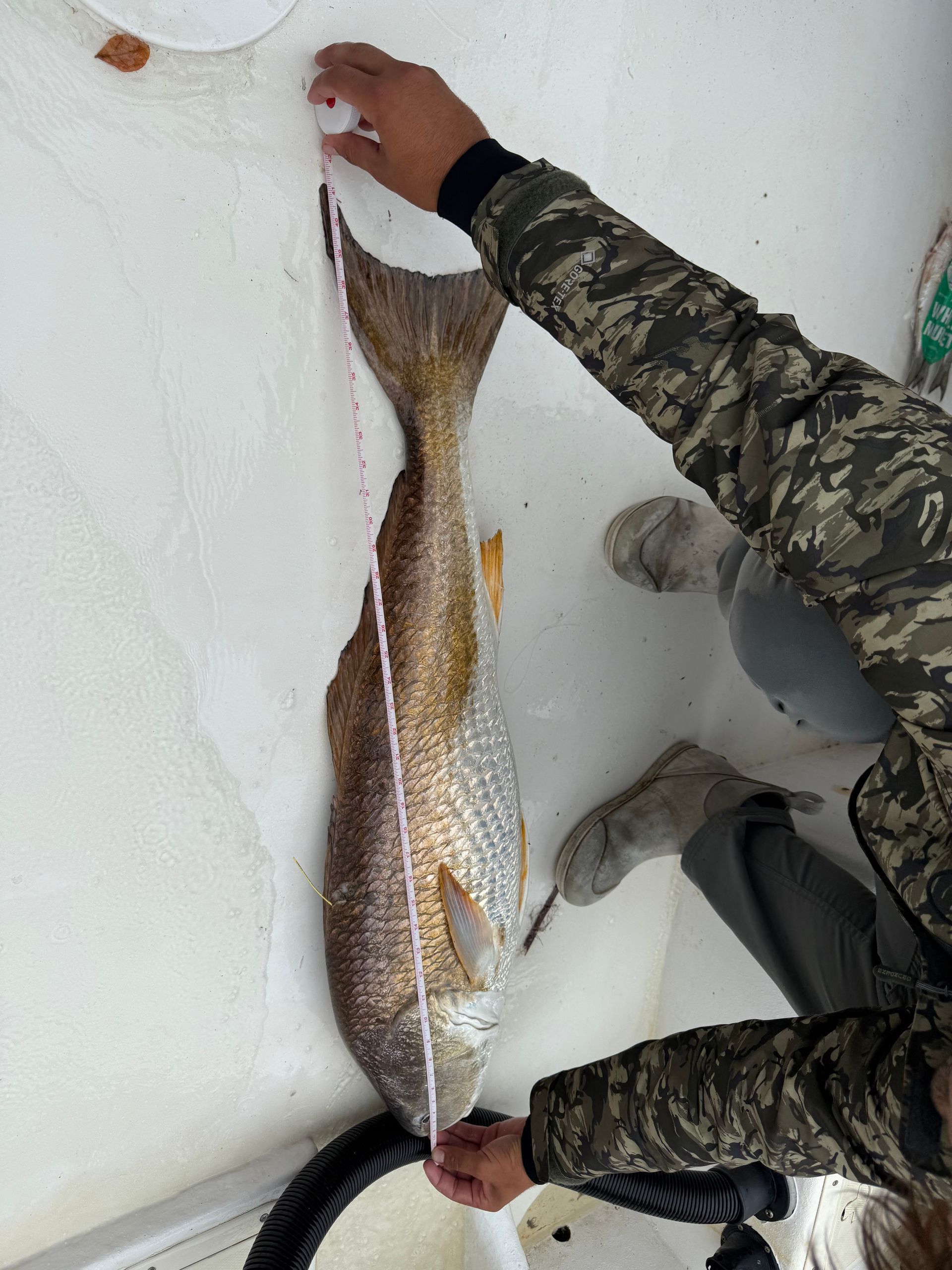 #1 Charter Fishing Guides in Ga