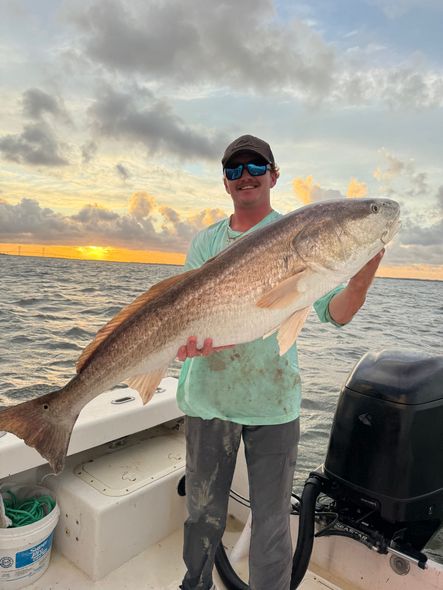 Bull red Drum fishing