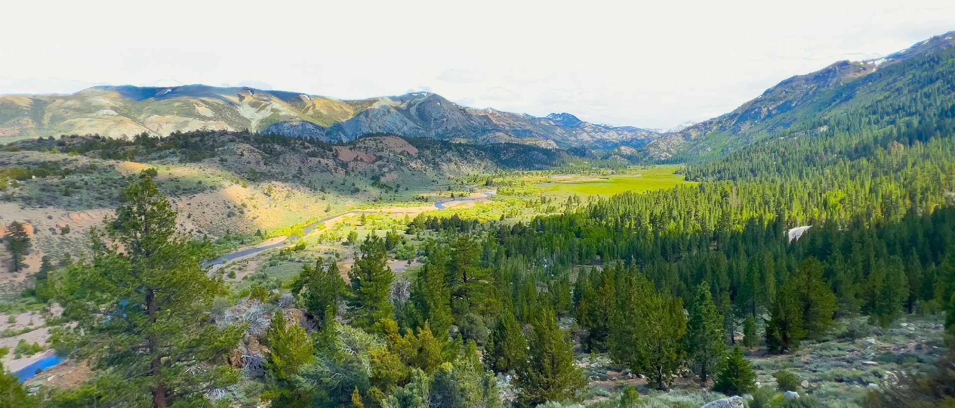 A panoramic view of a sunny mountain valley featuring a lush green forest, rugged rocky slopes, and distant ridges.