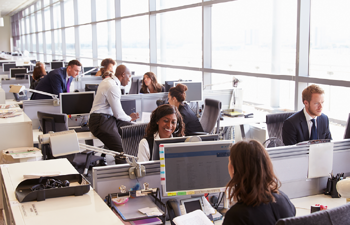 A busy, sunlit open-plan office with employees working at desks, using computers, and collaborating in a bright workspace.