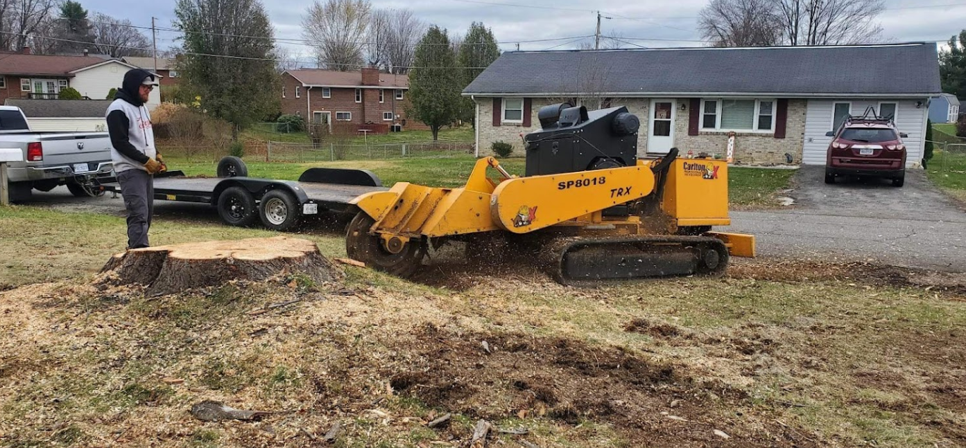 Stump removal montgomery county