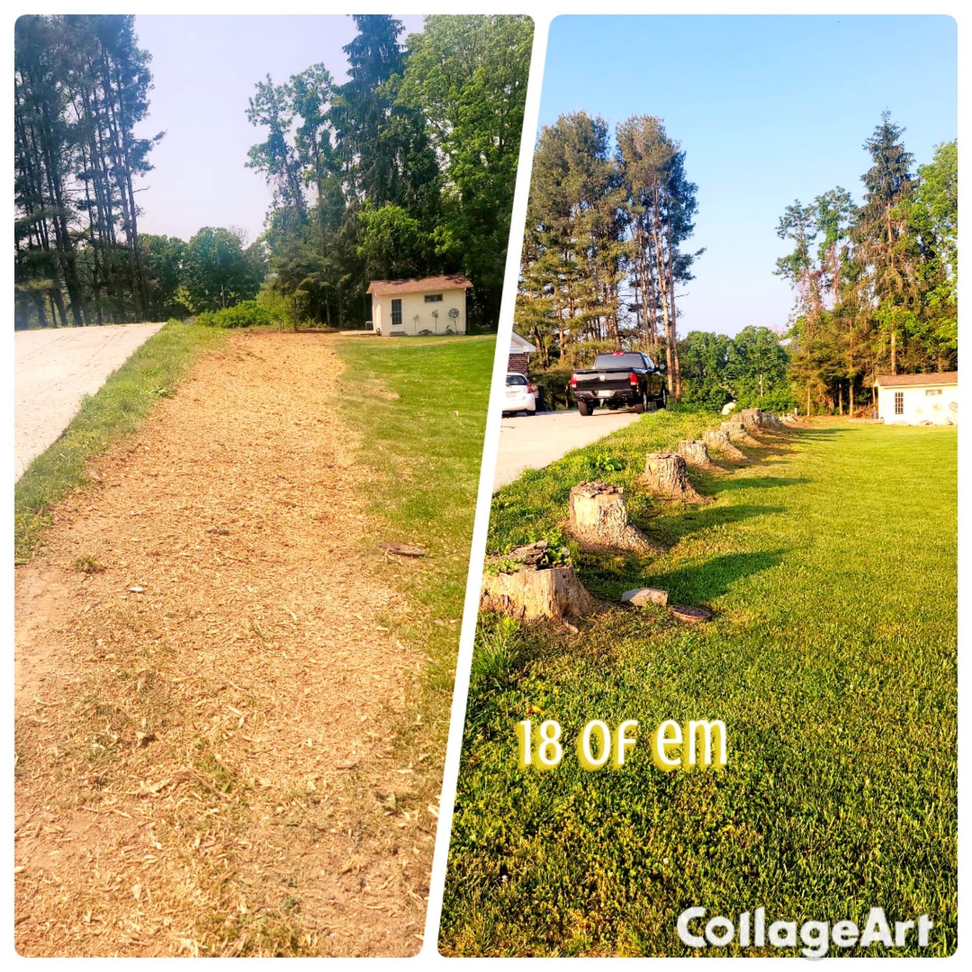 Stump Removal Before and After