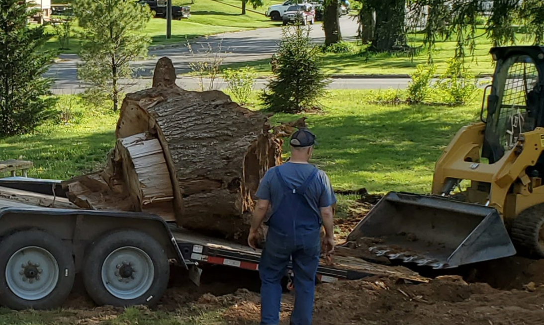 Stump Debris Cleanup