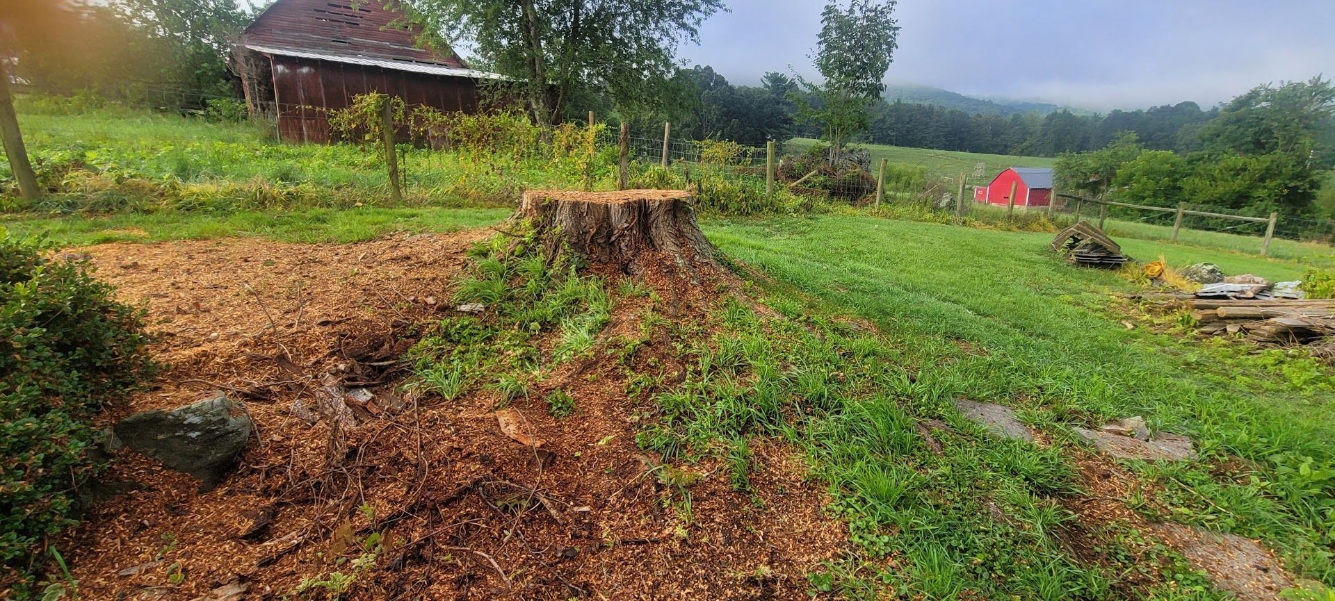 a large tree stump in a field with a red barn in the background