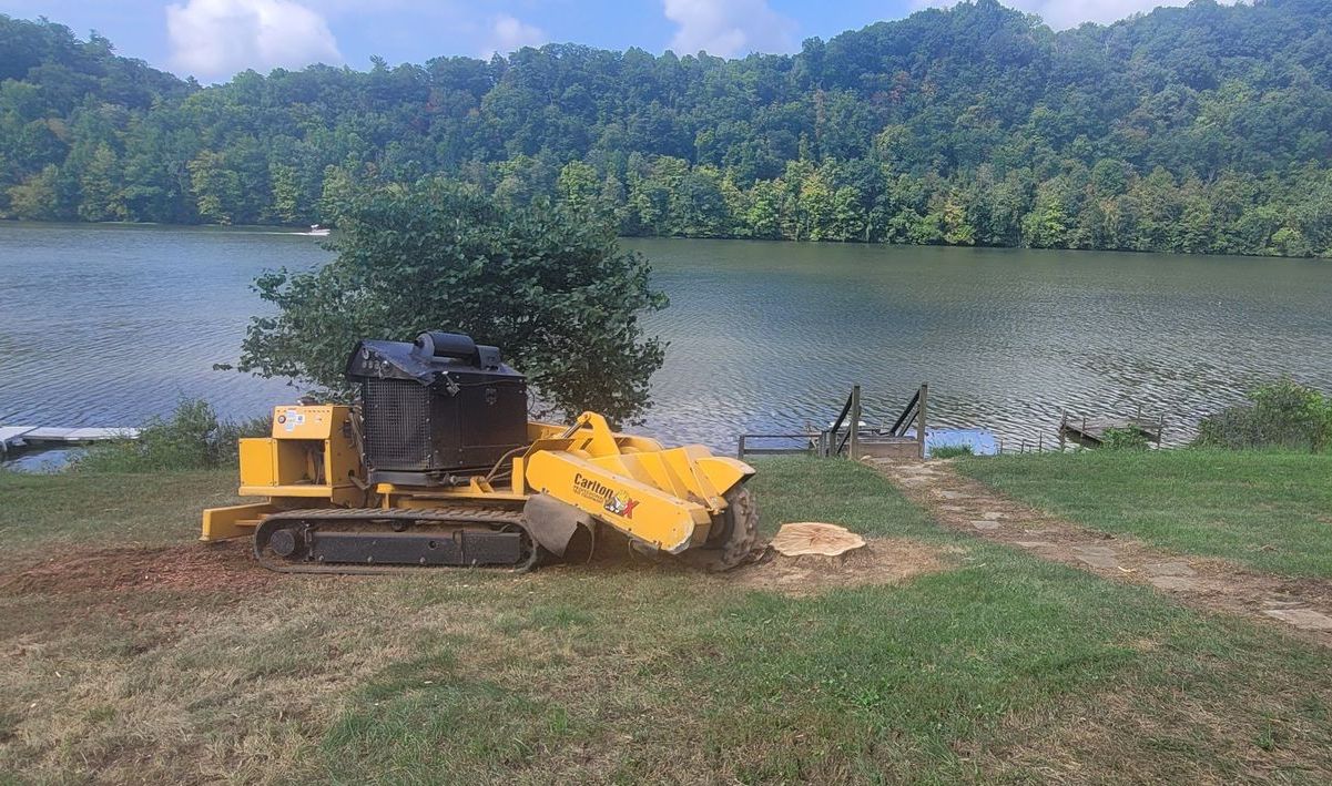 stump grinding Blacksburg Va 