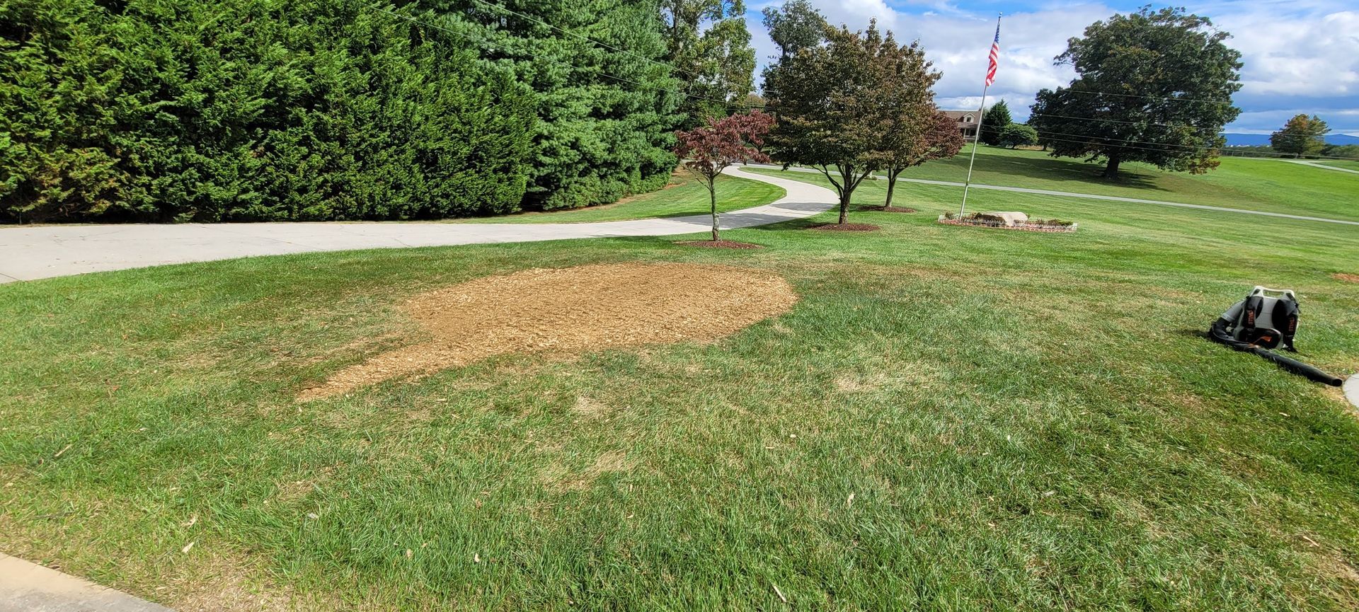 a yellow stump grinder sits in the grass near a lake