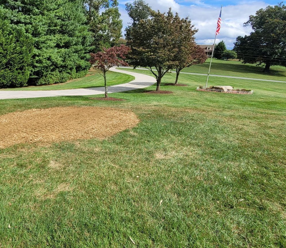 stump removal in Blacksburg, VA