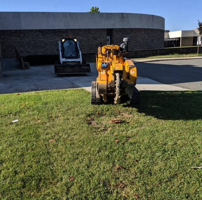 McGrath Stump removal service