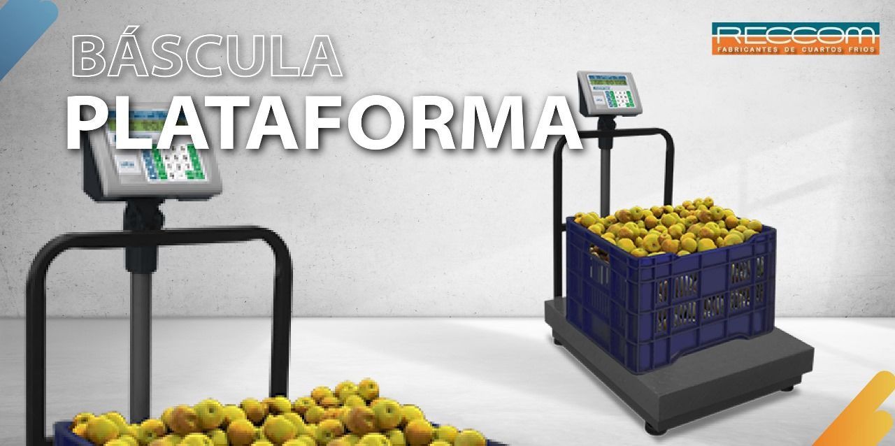 Un montón de manzanas están en una escala que dice bascula platforma