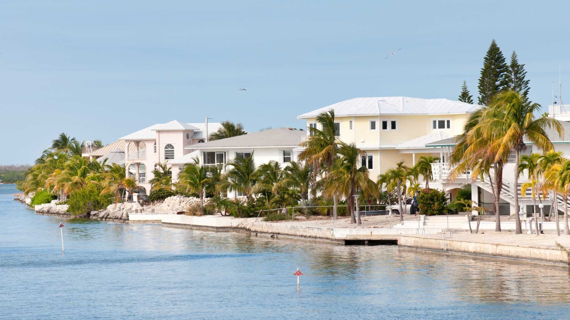 Waterfront homes with palm trees on a sunny day, blue water.