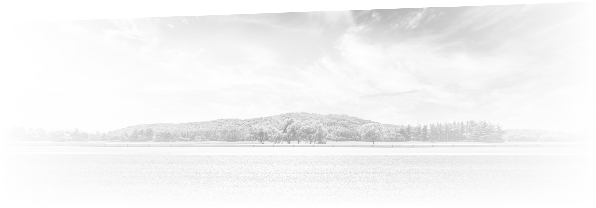 Background with vast sky and trees | Van Dorn Auto Repair