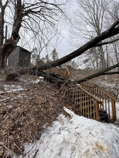 Fallen tree over wooden stairs and structure; snow on the ground, overcast day.