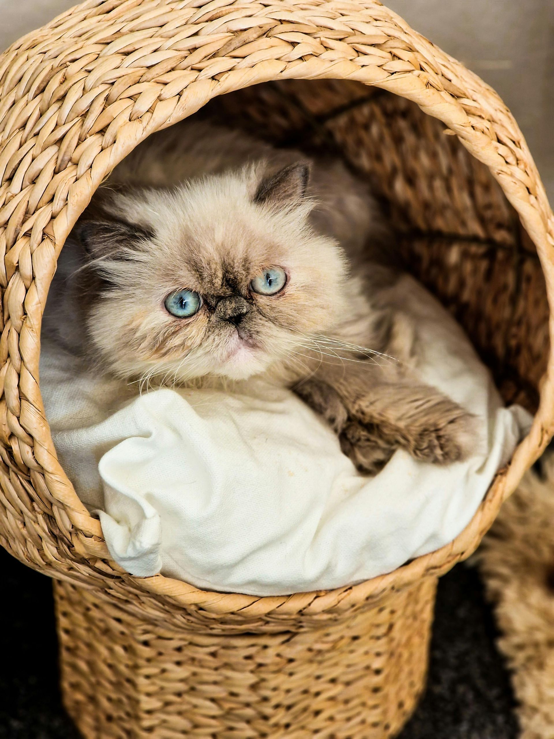 pulizia biancheria nautica