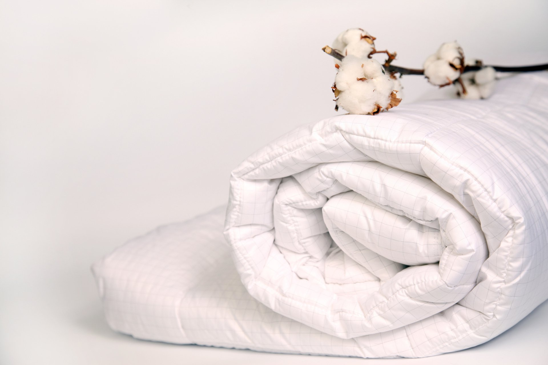 lavatrice professionale