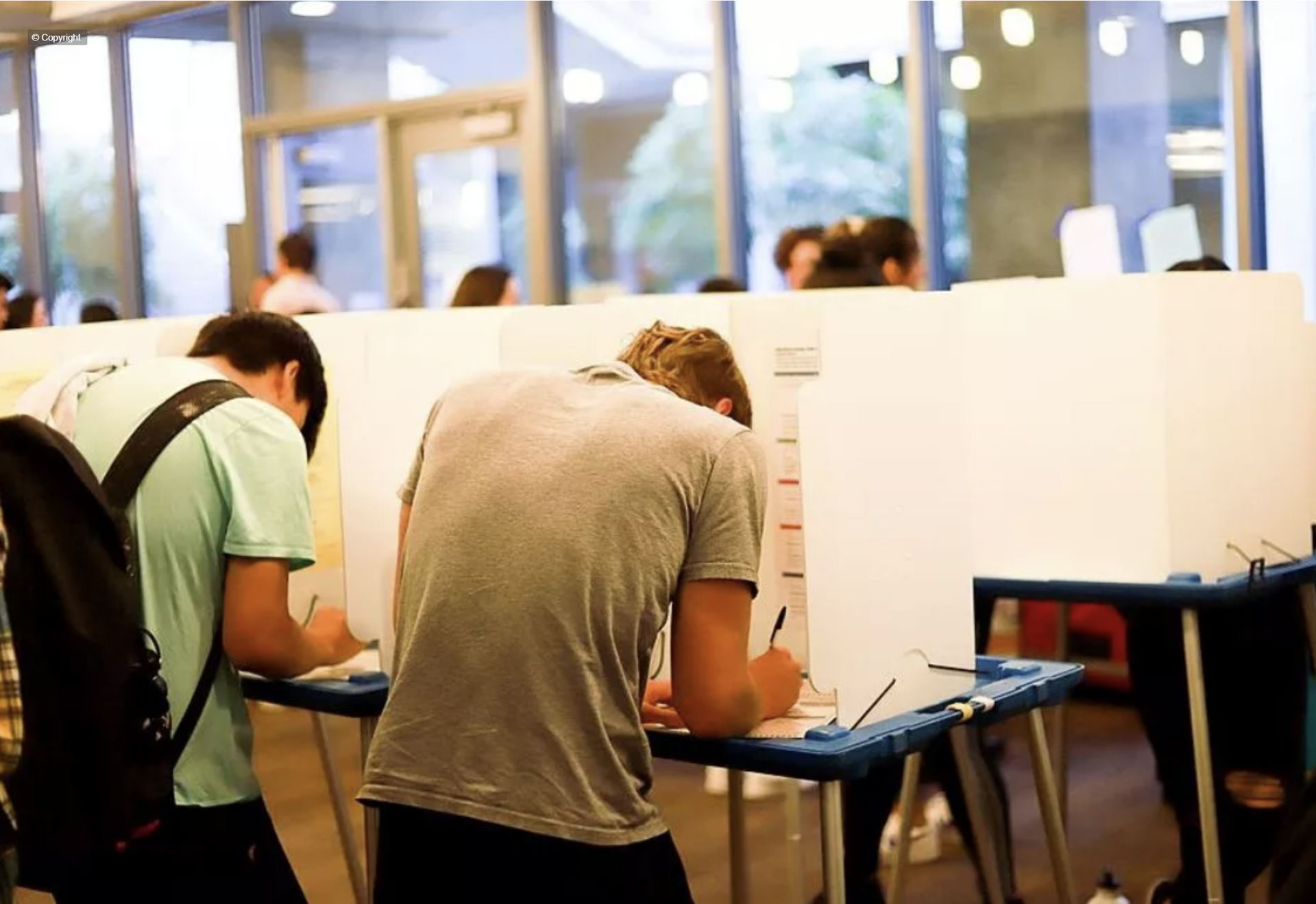 Two men are voting in a polling booth.