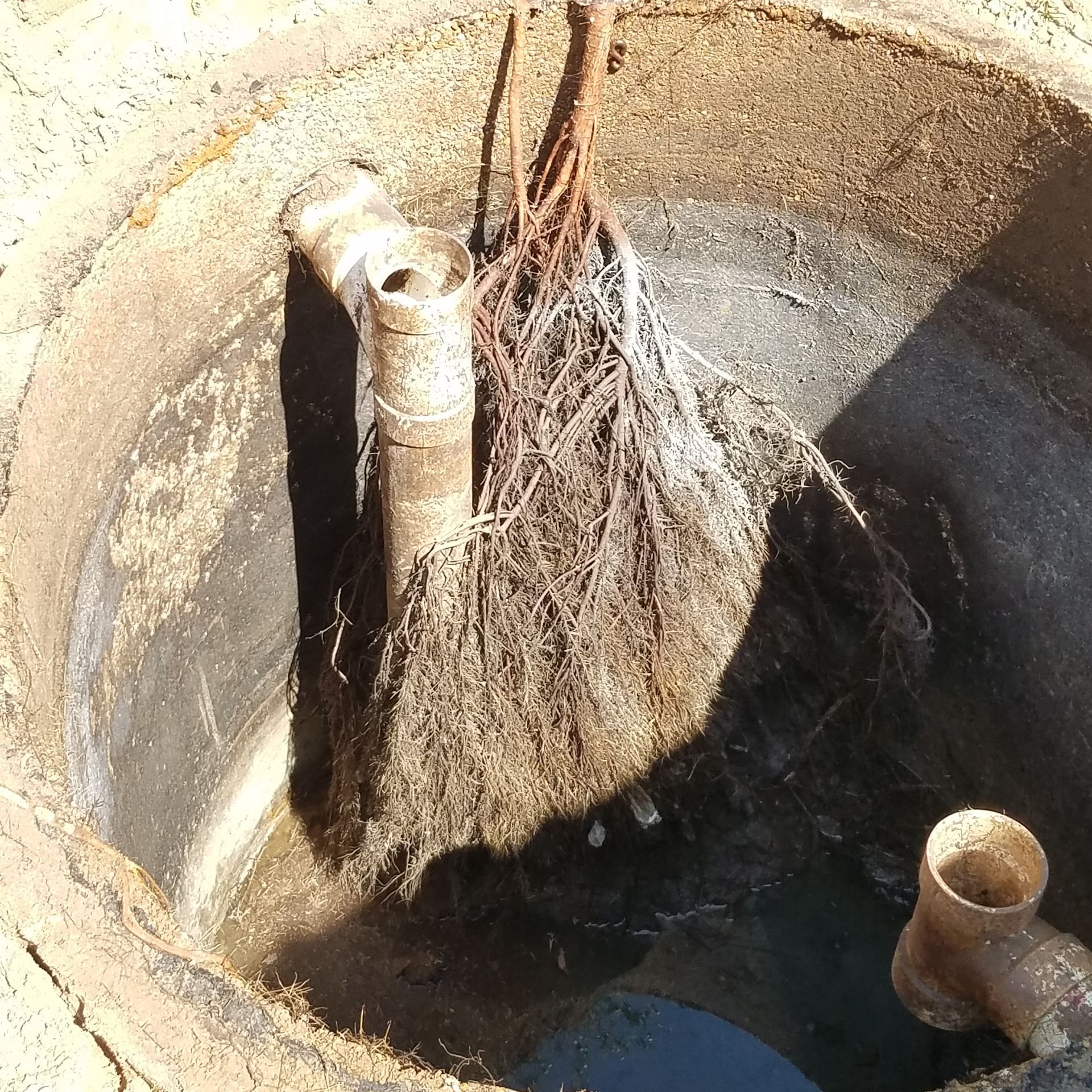 Woman in straw hat smiles, holding wine glass near a lake.