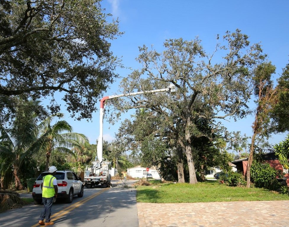 Utility truck with a raised boom trimming a large tree over a residential street. A worker in a vest stands nearby.