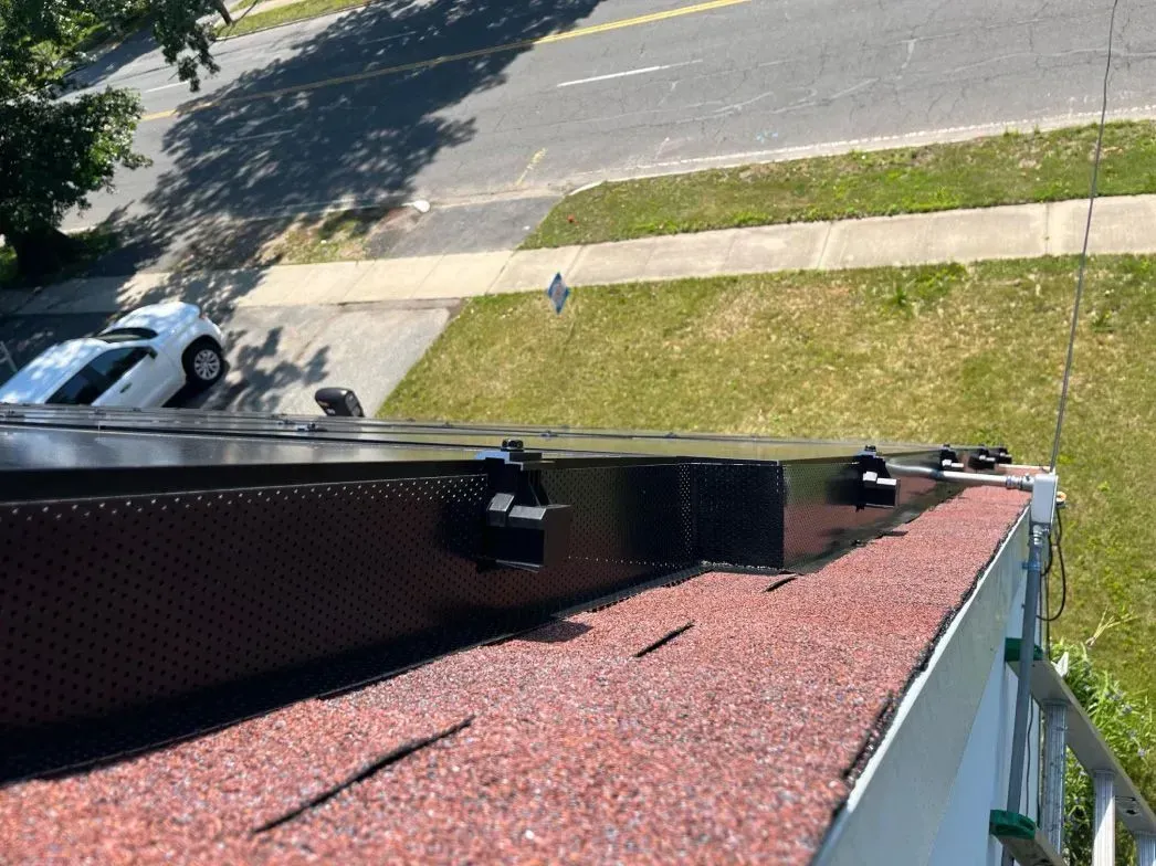 A pest sealing in Worcester, MA by Matts Wildlife Solutions