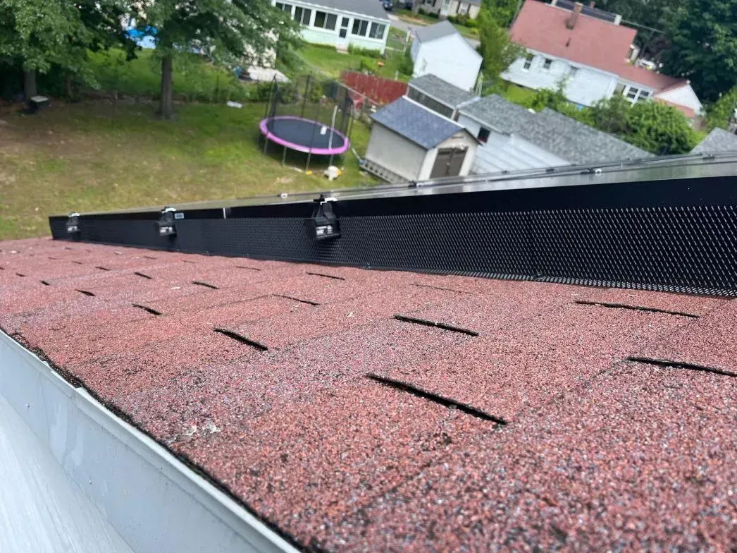 A pest sealing in Worcester, MA by Matts Wildlife Solutions