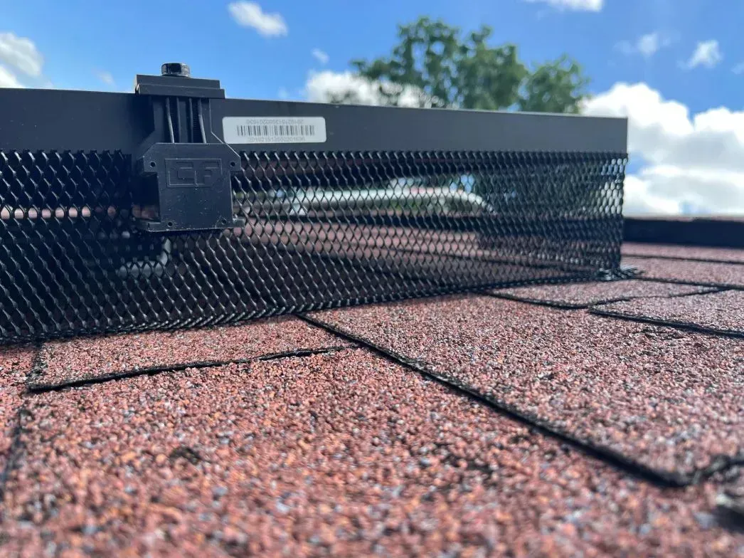 A pest sealing in Worcester, MA by Matts Wildlife Solutions