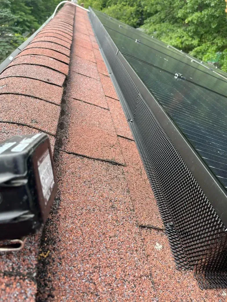 A pest sealing in Worcester, MA by Matts Wildlife Solutions