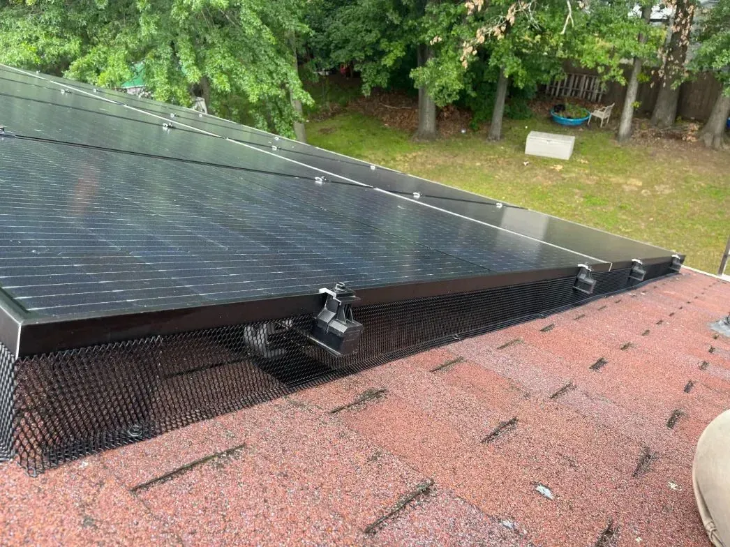 A pest sealing in Worcester, MA by Matts Wildlife Solutions