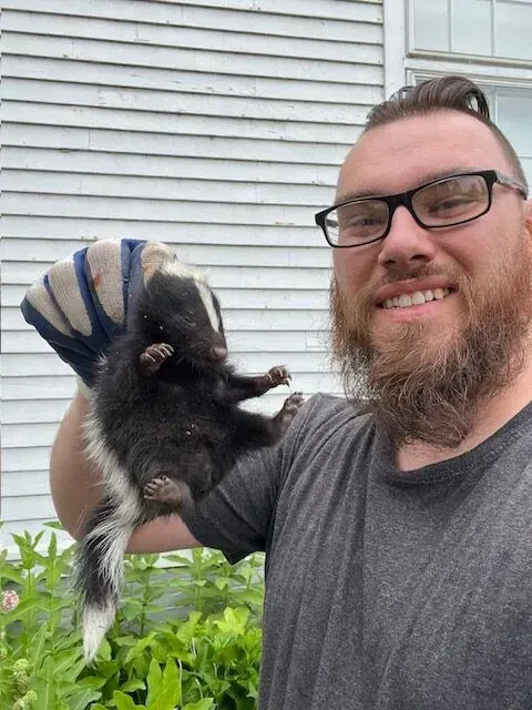 A wildlife removal in Worcester, MA by Matts Wildlife Solutions