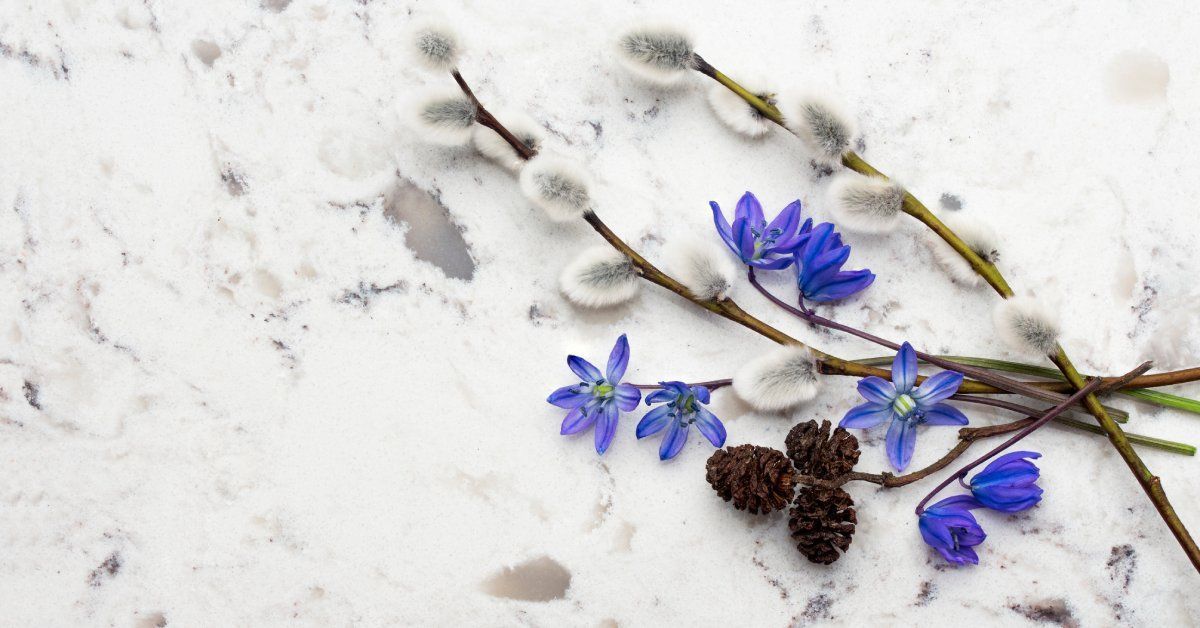 A collection of long white, black, and blue plants lying on top of a massive white quartz countertop.