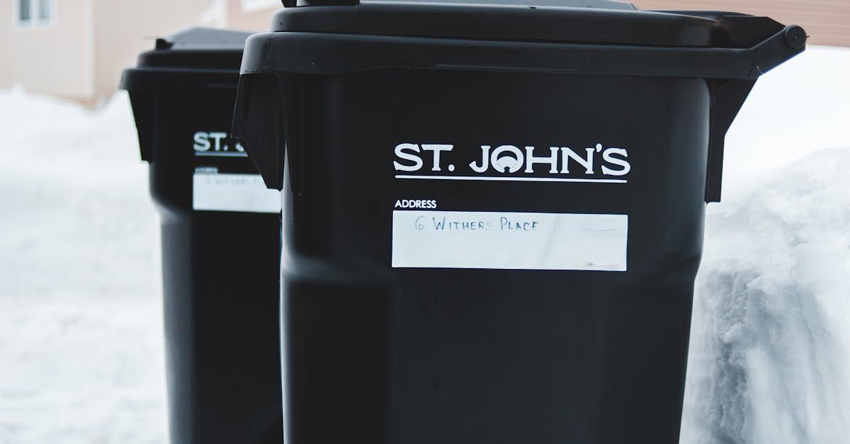 Two black st. john 's trash cans are sitting in the snow