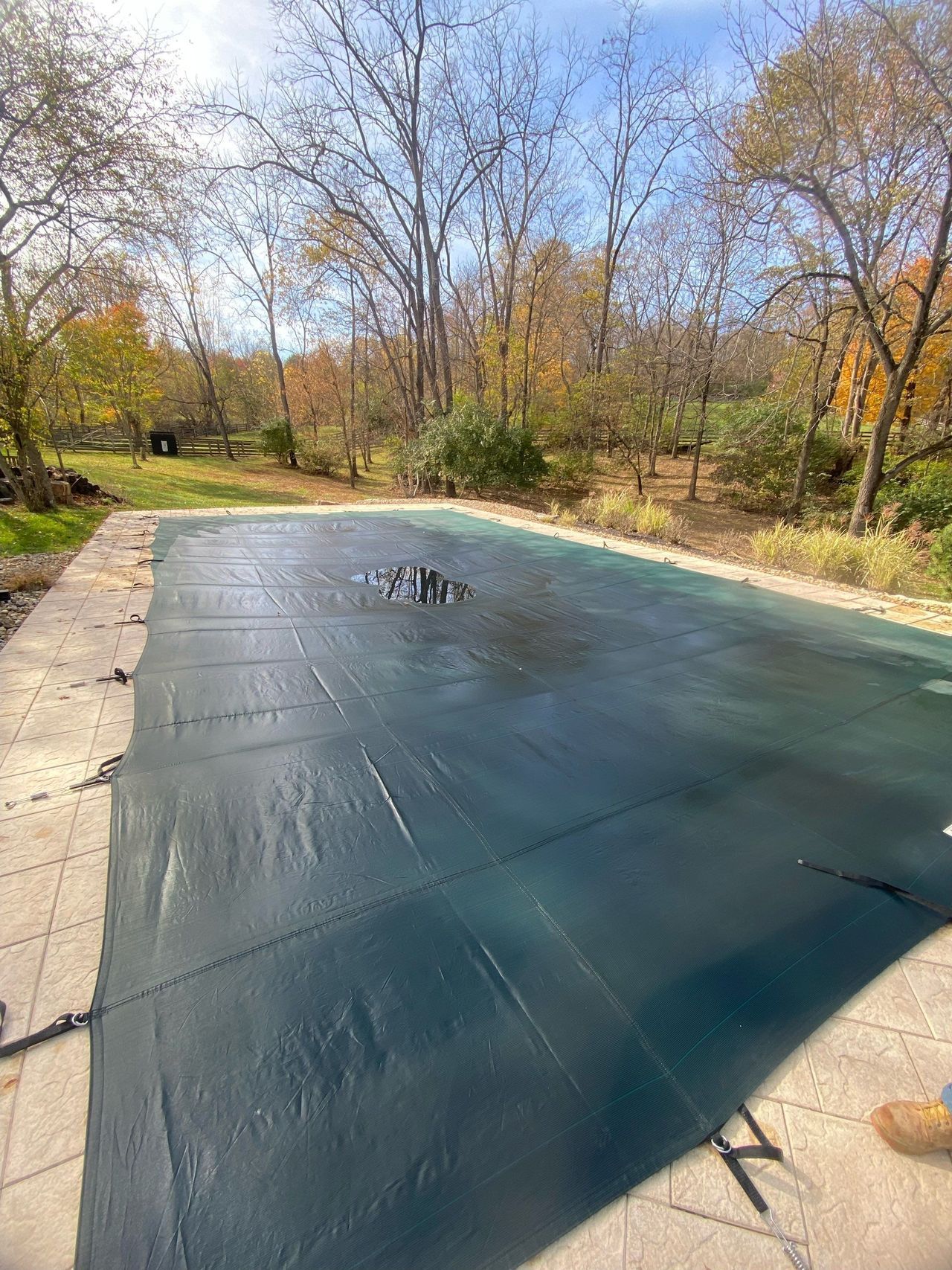 Black tarp-covered pool in a wooded backyard with autumn trees.