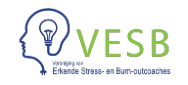 Vereniging van Erkende Stress & Burn-Out Coaches