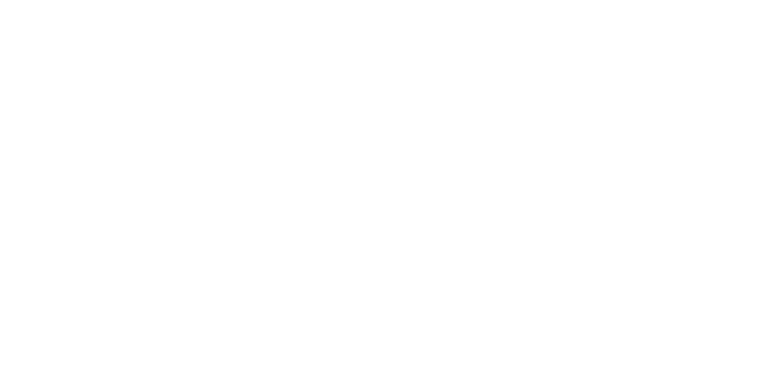 White Logo of Ark of Finance