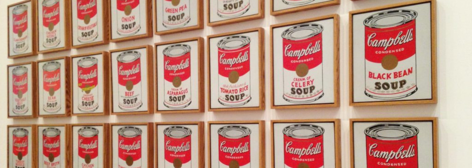 Picture of Campbell's soup tins.
