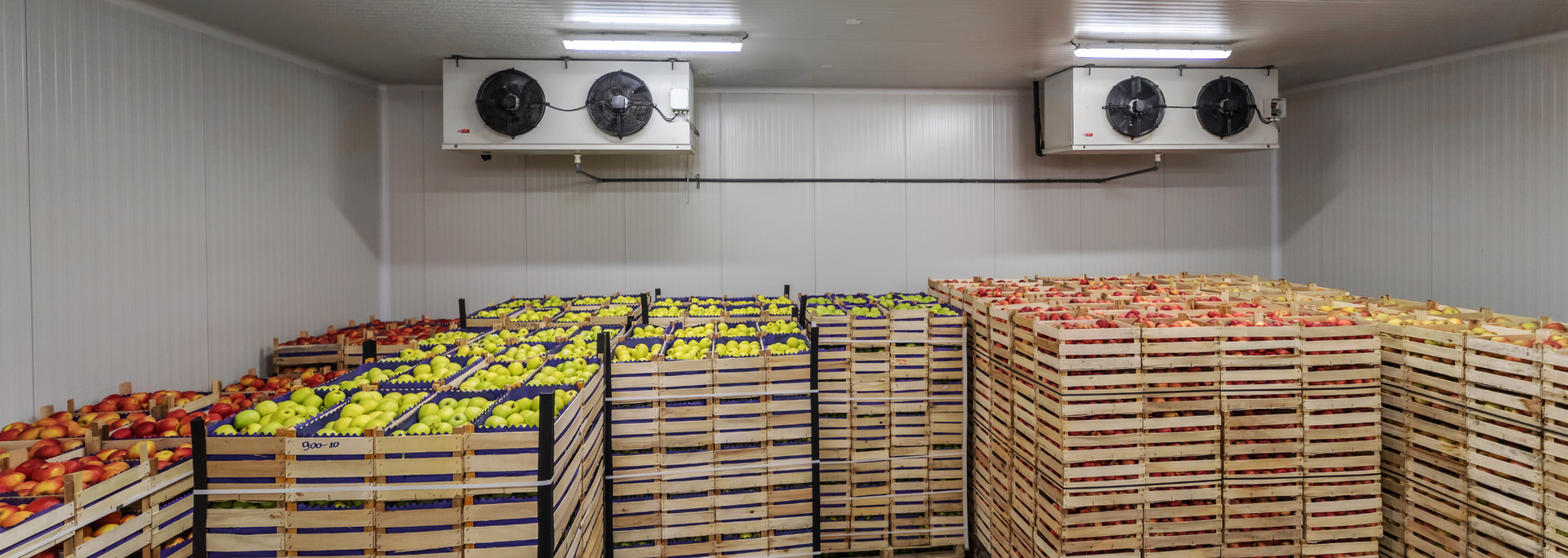 Picture of a food storage warehouse