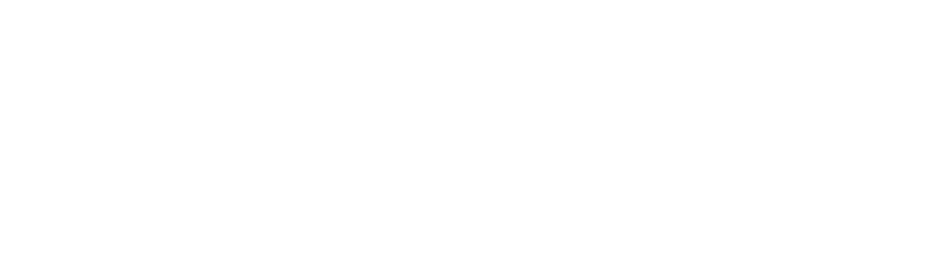 Stowsafe fulfilment white logo